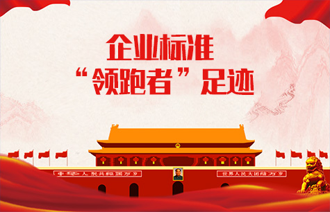 企業(yè)標準領(lǐng)跑者